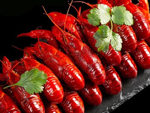 福田小龙虾培训